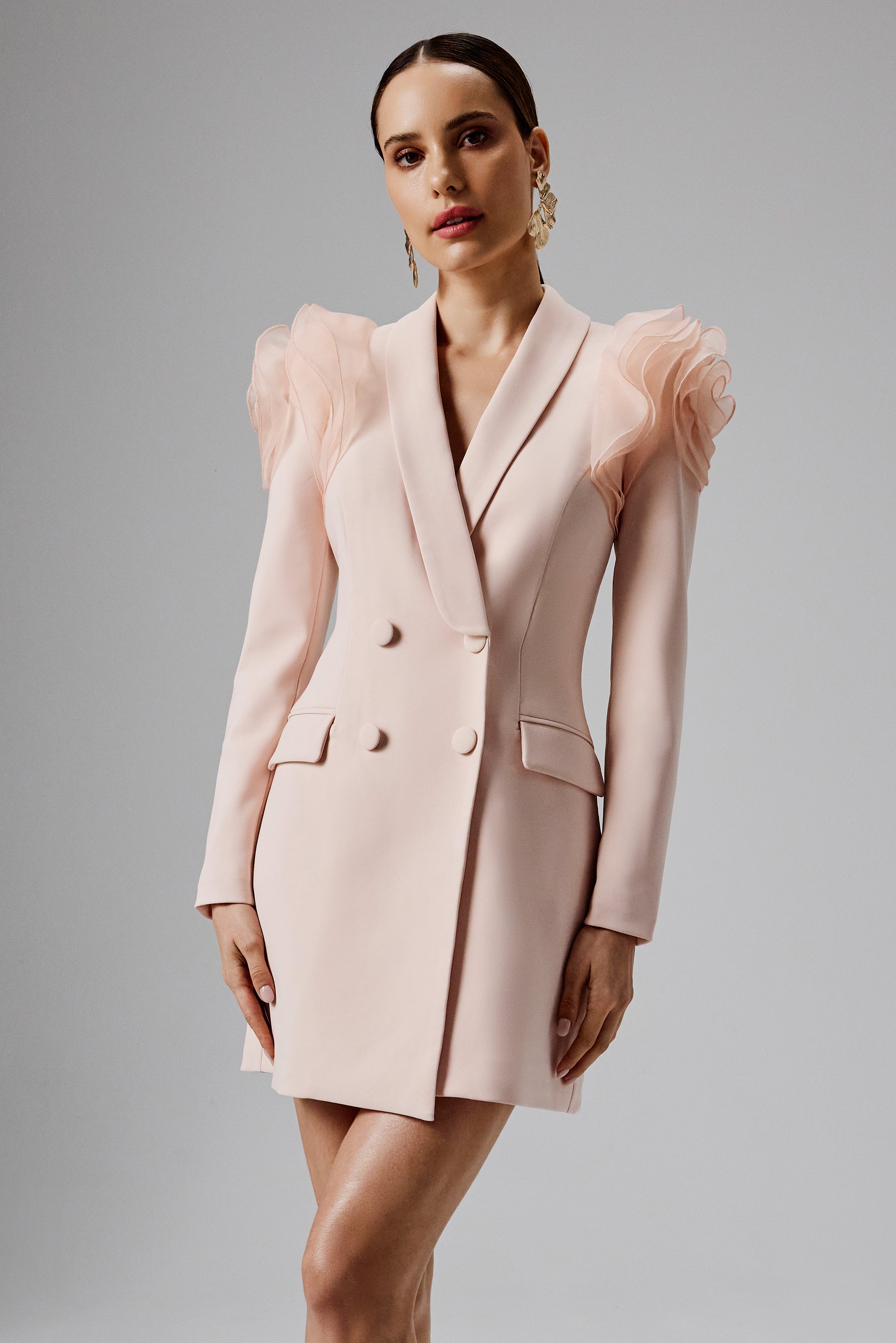 RIA Organza Rose Sleeve Blazer Dress in Light Pink